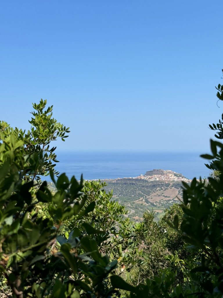Foto di Tergu