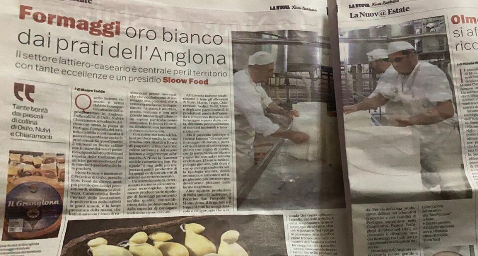 Formaggi, l’oro bianco dei prati dell’Anglona