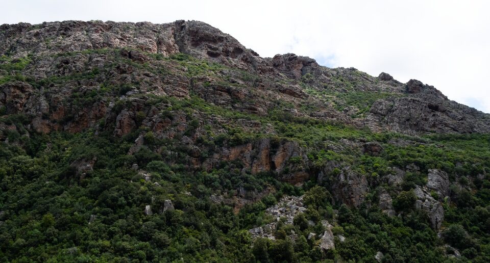 Monte Ruju