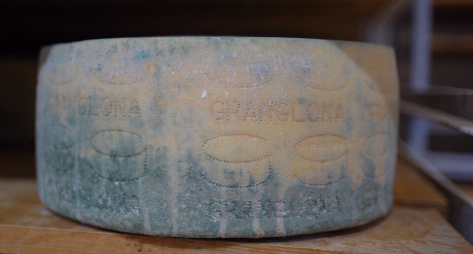 Alla scoperta del Grananglona